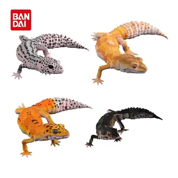 Original Bandai Gashapon Velike Biološke Zemljevid Velike Gecko Kuščar Simulacije Živali Qversion Anime Model Darilo Igrača Zbirka Ornament